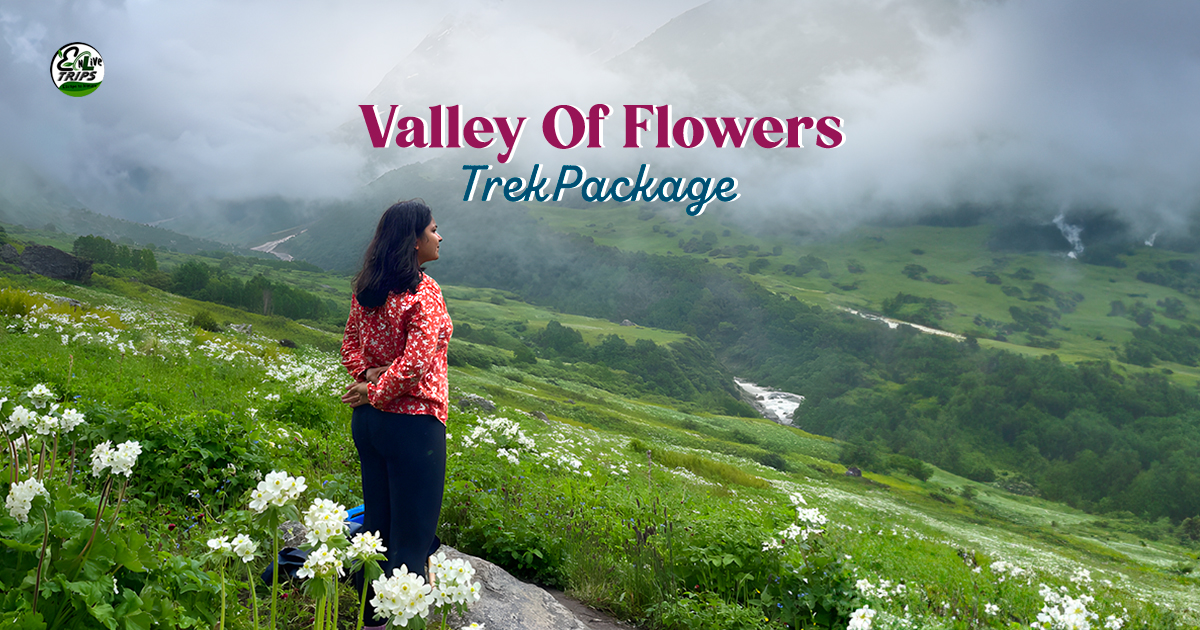 Valley of Flowers Trek Package 
